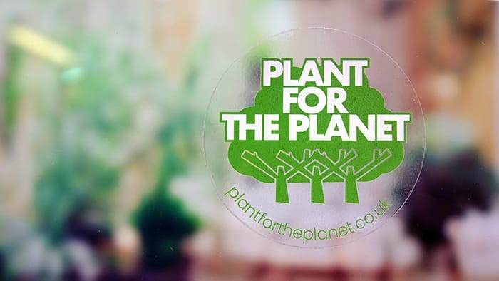 Circle eco-friendly front adhesive stickers with plant for the planet logo applied to a window