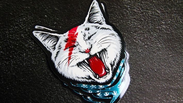 Die cut eco-friendly silver sticker with ziggy stardust cat design